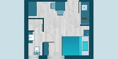Deluxe Apartment